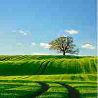 代‍充​网​站﻿可‍信﻿吗​